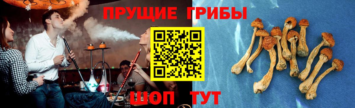 Псилоцибиновые грибы прущие грибы Советск