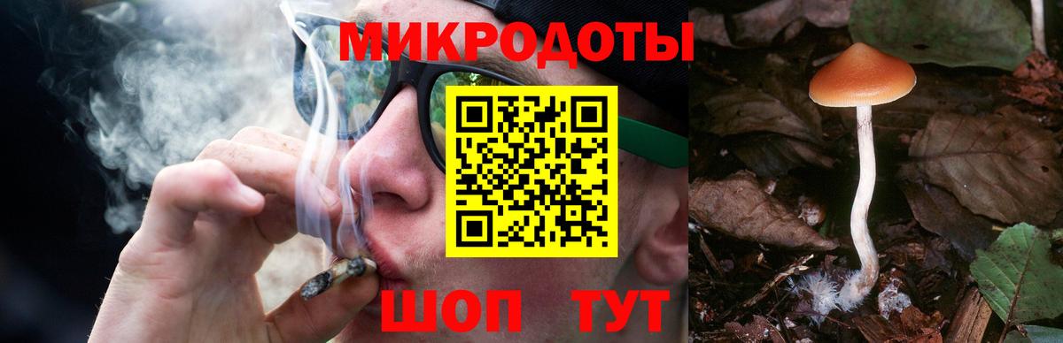 Галлюциногенные грибы мицелий  Вход с VPN  сколько стоит  Советск 